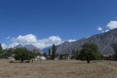 P1070033