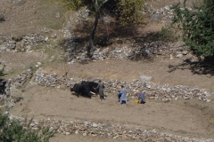 P1070035