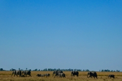P1070351