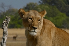 P1080068