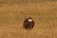 P1080263