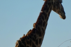 P1070472