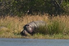 P1070695