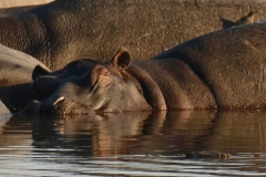 P1070783