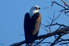 P1070791
