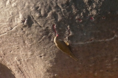 P1080124