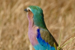 P1080274