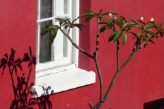 P1030675