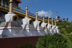 P1070883