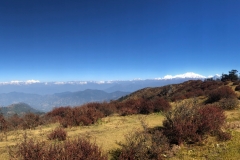 IMG_1394