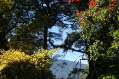 P1080127