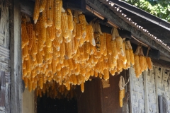 P1080133