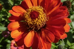 P1080162 (1)