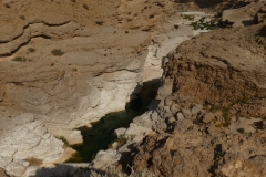 P1120782