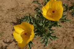 P1120826
