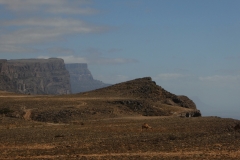 P1120849