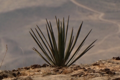 P1120853