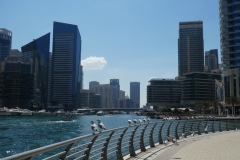 P1010556