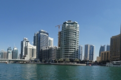 P1010563