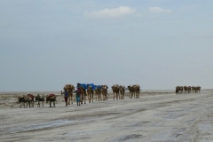 P1000765