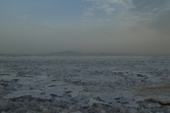P1000829