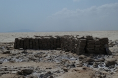 P1010168