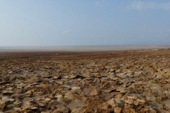 P1000869