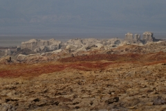 P1000870