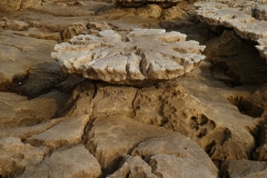P1000874
