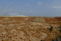 P1000890