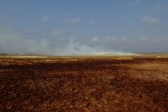 P1000891