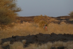 P1010261