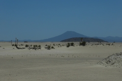 P1010289