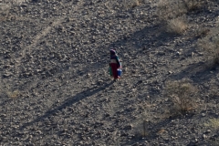 P1010356