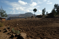 P1000067