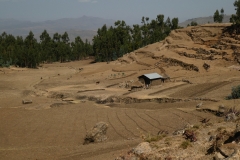 P1000075
