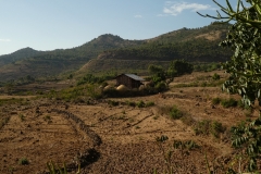 P1000199