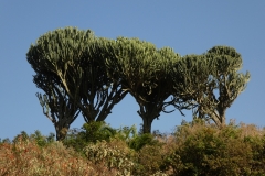 P1000203