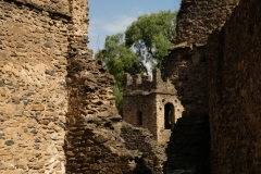P1000246