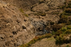 P1000293