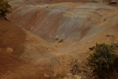 P1000294