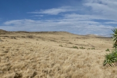 P1000351
