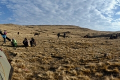 P1000369