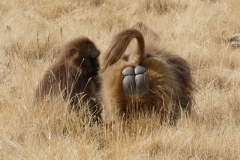 P1000316