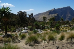 P1000543
