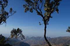 P1000544