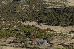 P1000552