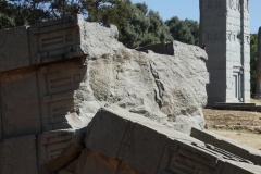 P1000573
