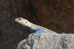 P1000581