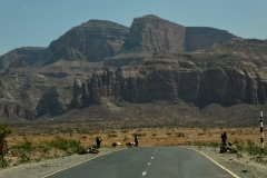 P1000638